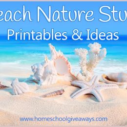 FREE Beach Nature Study Printables and Ideas