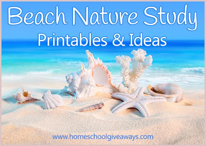 FREE Beach Nature Study Printables and Ideas