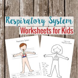 FREE Respiratory Worksheets for Kids