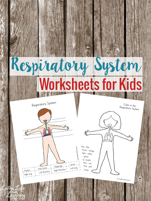 FREE Respiratory Worksheets for Kids