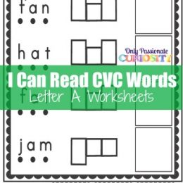 FREE I Can Read CVC Words