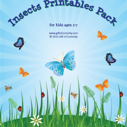 FREE Insect Printables