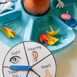FREE 5 Senses Game
