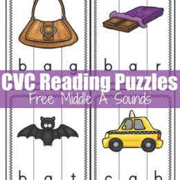 FREE CVC Reading Puzzles