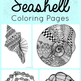 FREE Seashell Coloring Pages