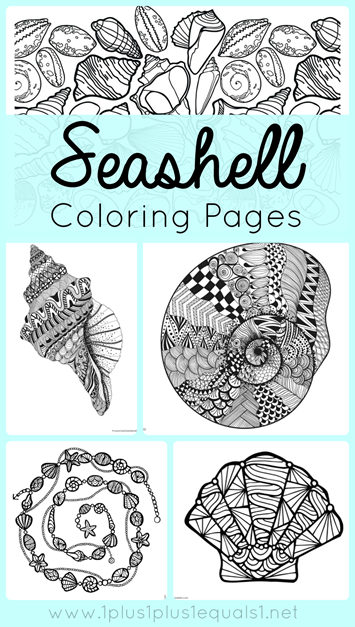 FREE Seashell Coloring Pages