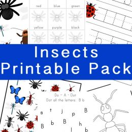 FREE Insect Printables Pack