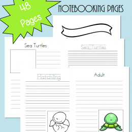 FREE Sea Turtles Notebooking Pages