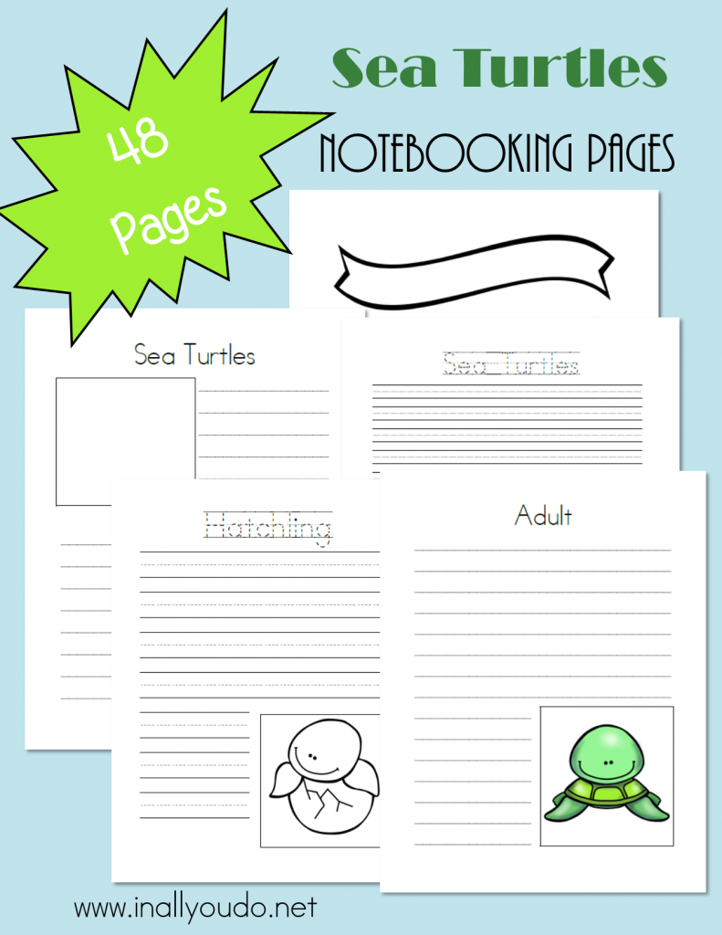 FREE Sea Turtles Notebooking Pages