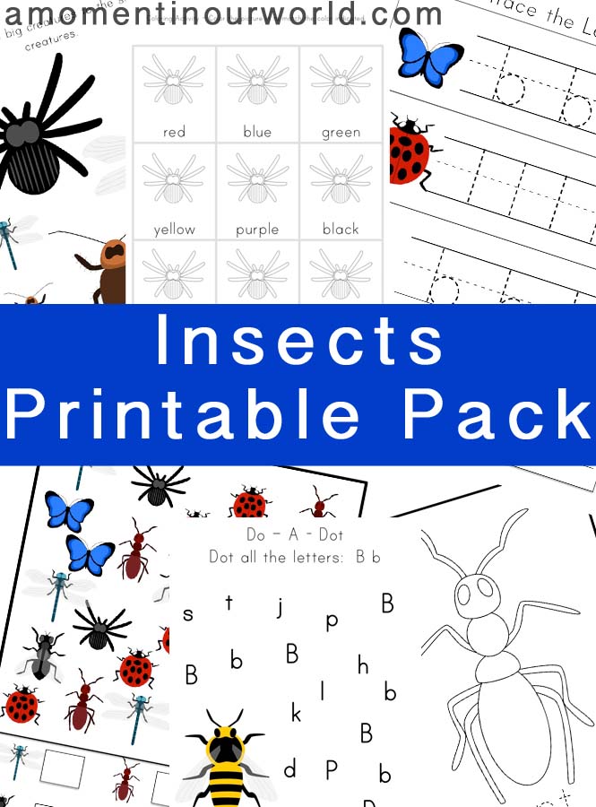 FREE Insect Printables Pack