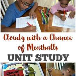 FREE Cloudy with a Chance Unit Study