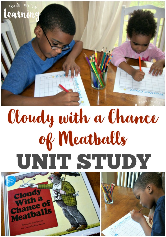 FREE Cloudy with a Chance Unit Study