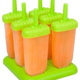 Ozera Reusable Ice Pop Molds Only $8.99!