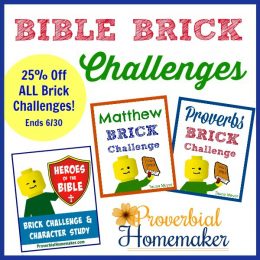 25% Off Bible Brick Challenges