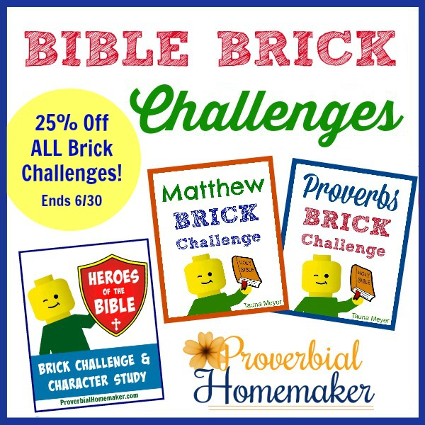 25% Off Bible Brick Challenges