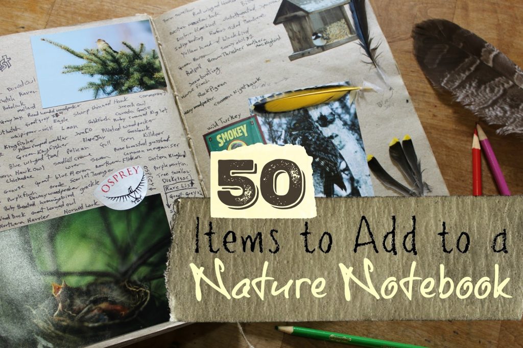 50 Items to Add to a Nature Notebook