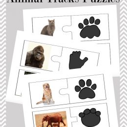 FREE ANIMAL TRACKS PUZZLES (Instant Download!)