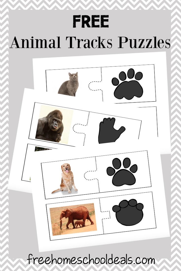 Animal Tracks Puzzles