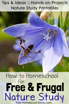 How to Homeschool for Free and Frugal: Nature Study Resources