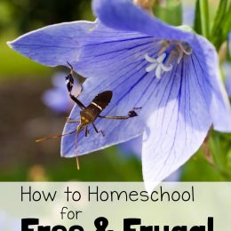 How to Homeschool for Free and Frugal: Nature Study Resource List