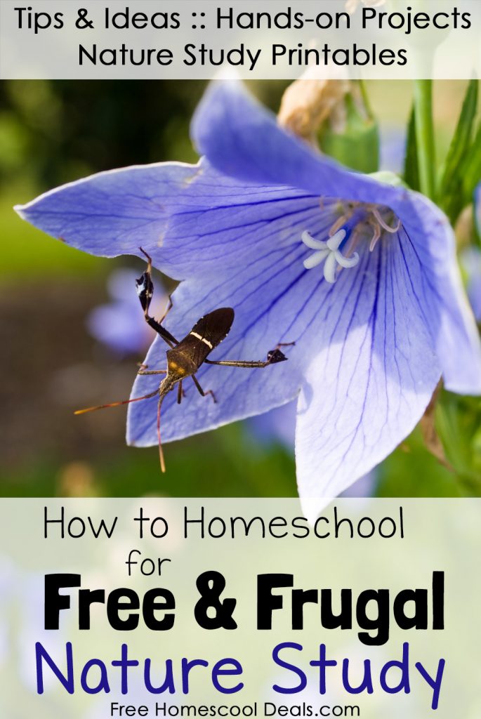 How to Homeschool for Free and Frugal: Nature Study Resources