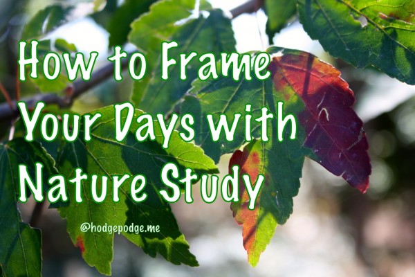 How to Frame Your Days with Nature Study