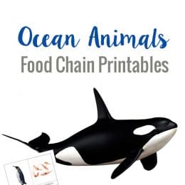 FREE Ocean Animal Food Chain Printables