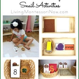 FREE Snail Activities