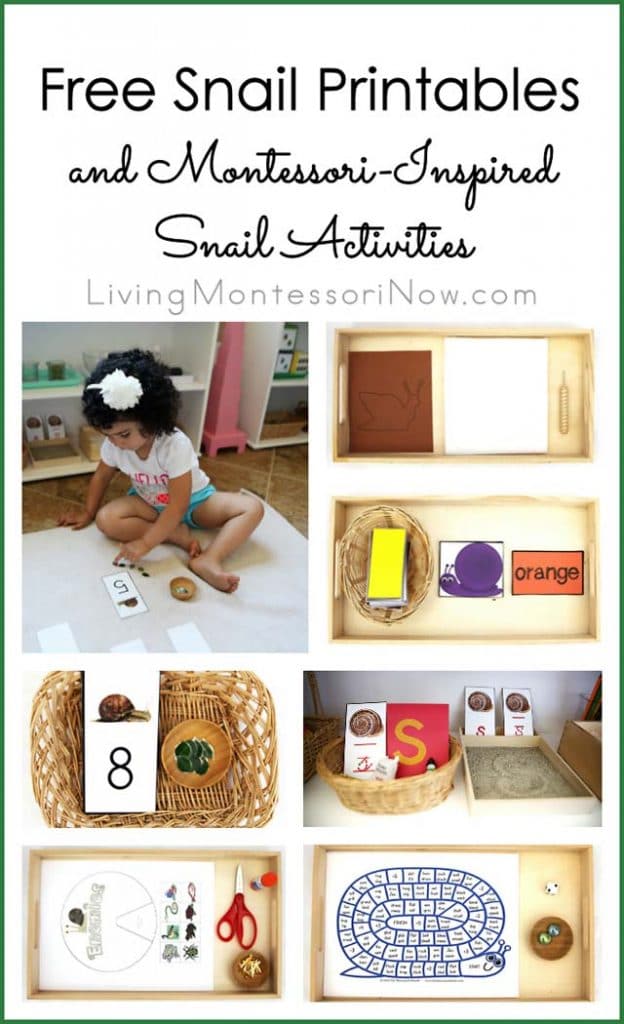 FREE Snail Activities