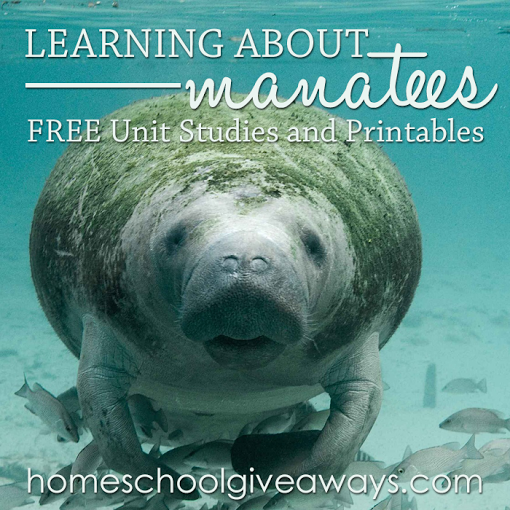 FREE Manatees Unit Study