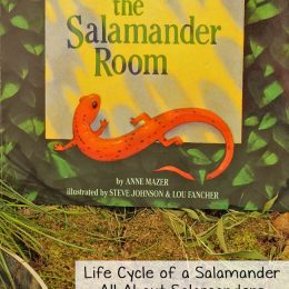FREE Salamander Room Unit Study