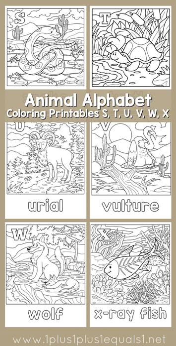 FREE Alphabet Printables