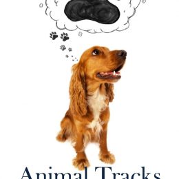 FREE Animal Tracks Unit Study