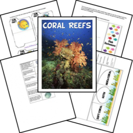 FREE Coral Reefs Lapbook