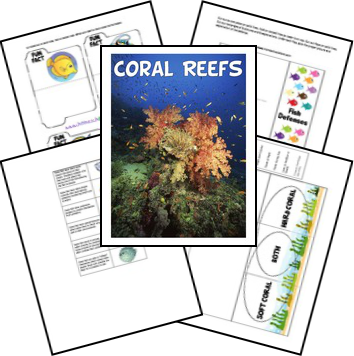 FREE Coral Reefs Lapbook