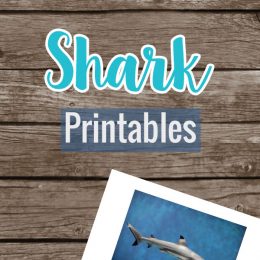 FREE Shark Printables