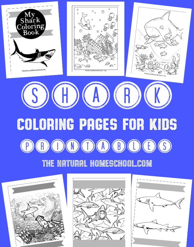 FREE Shark Week Printables