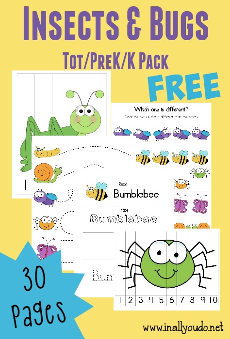 FREE Insect and Bug Pack