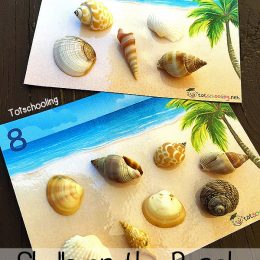 FREE Shells Counting Cards
