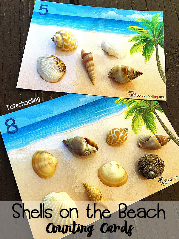 FREE Shells Counting Cards