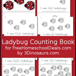 FREE LADYBUG COUNTING BOOK (Instant Download)