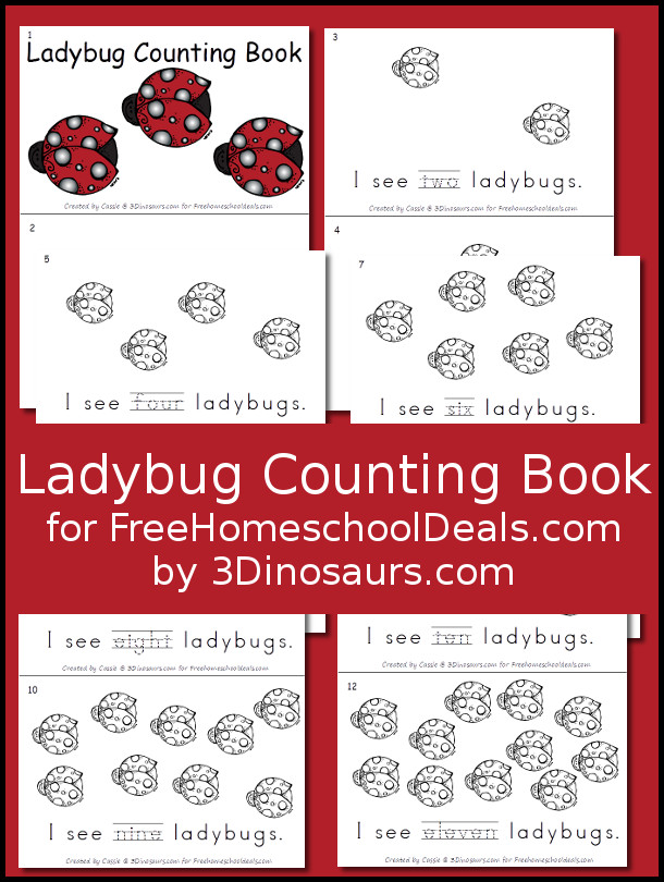 Ladybug Counting Book