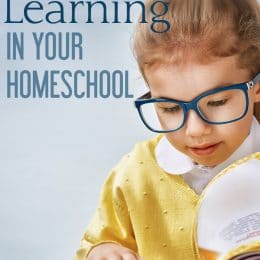 Free Independent Learning Video Seminar