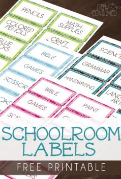 25 NEW Freebies &amp; Deals for Homeschoolers!
