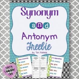 Synonym and Antonym Freebie