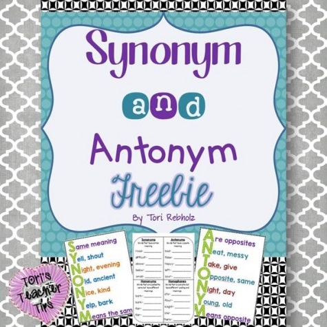 Synonym and Antonym Freebie