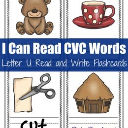 FREE CVC Reading Words Pack
