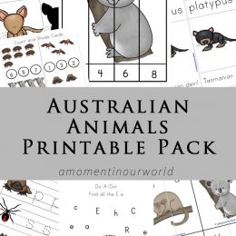 FREE Australian Animals Pack