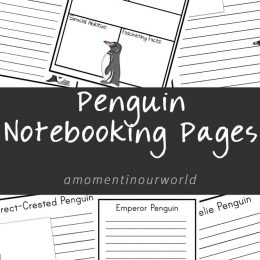 FREE Penguin Notebooking Pages