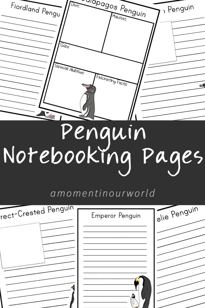 FREE Penguin Notebooking Pages